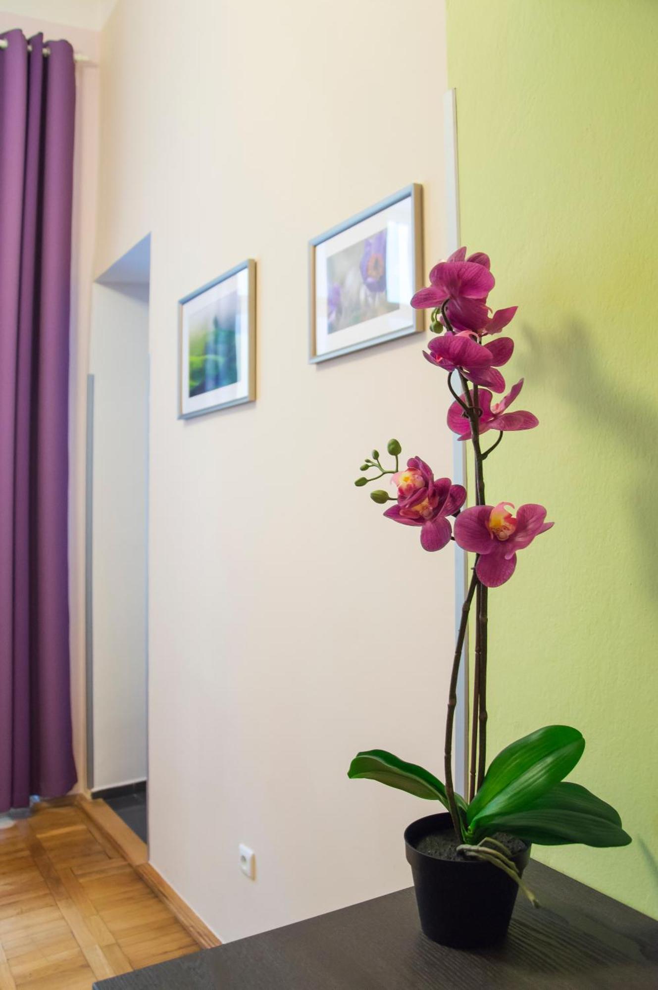 פראג Apartment Jindrisska 25 מראה חיצוני תמונה